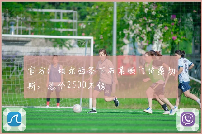 官方：切尔西签下布莱顿门将桑切斯，总价2500万镑
